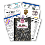 Second Semester Bundle - The Nurse Sam